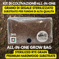 All In One Bag Segale + Faggio | Injection Port Sterilizzato