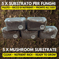 Substrato Funghi Premium 5 Sacchi | 10kg | Faggio Sterilizzato