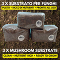 Substrato Funghi Premium 3-Pack | 6kg Totali | Sterilizzato | Italia