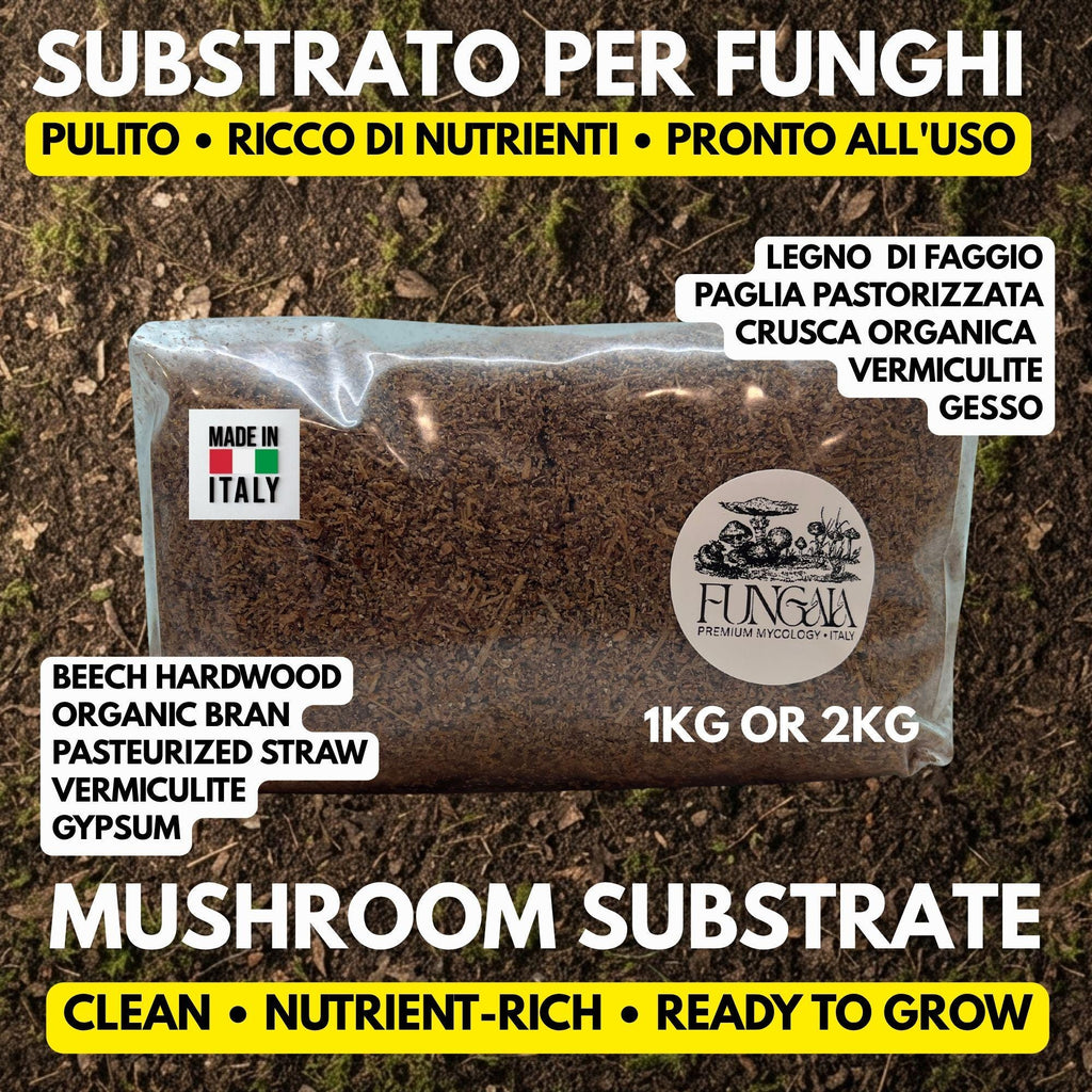Substrato Funghi Sterilizzato Faggio 2kg | Pronto Inoculazione