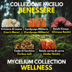 Kit Coltura Funghi Wellness Tradizionali. Wellness Pack 5 Colture Liquide. Lion's Mane | Reishi | Cordyceps | Turkey Tail
