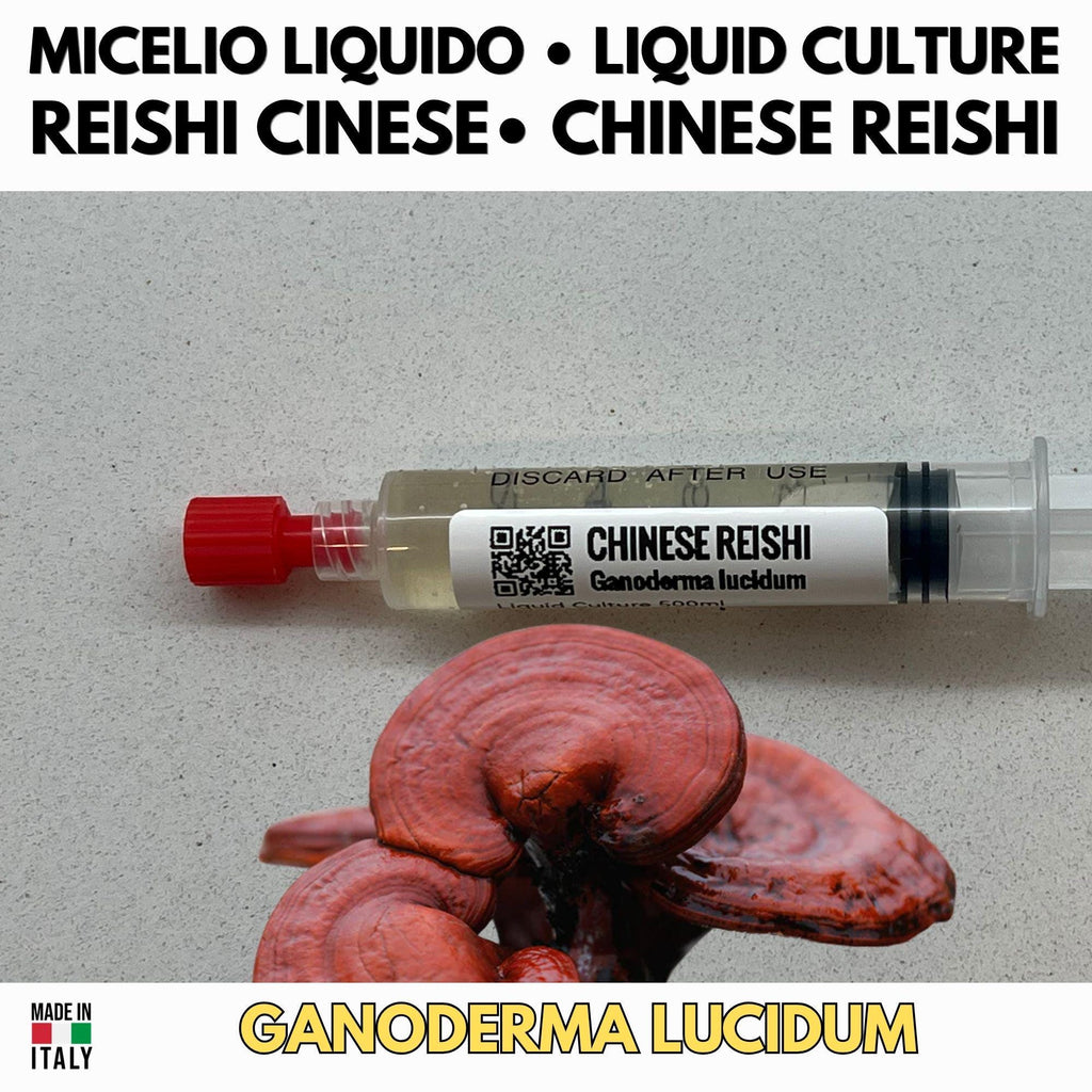 Kit Coltura Funghi Wellness Tradizionali. Wellness Pack 5 Colture Liquide. Lion's Mane | Reishi | Cordyceps | Turkey Tail