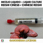 Kit Coltura Funghi Wellness Tradizionali. Wellness Pack 5 Colture Liquide. Lion's Mane | Reishi | Cordyceps | Turkey Tail