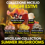 Coltura Liquida Funghi Estivi – Summer Pack 5 LC | Pink Oyster Golden Oyster Wine Cap Enoki | Kit Coltivazione Funghi Stagionali