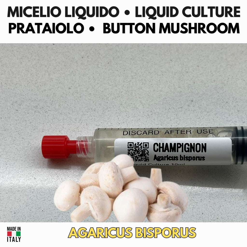 Italian Cuisine Collection – 3 Colture Liquide | Champignon Pioppino Cardoncello | Bundle Funghi Tradizione Italiana