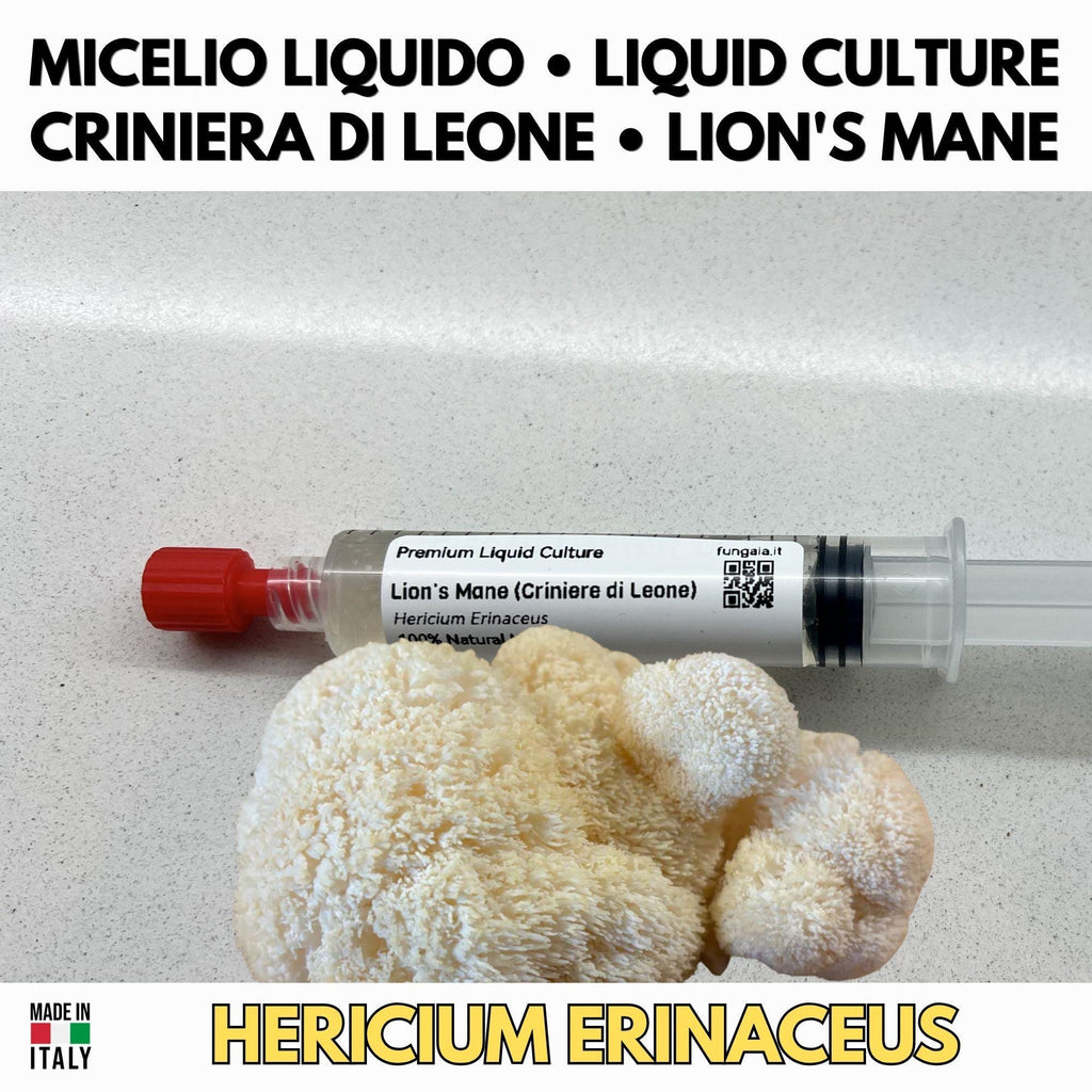 Hericium Collection – 3 Colture Liquide | Lion's Mane Ericio Corallino Bear's Head | Bundle Completo Famiglia Hericium