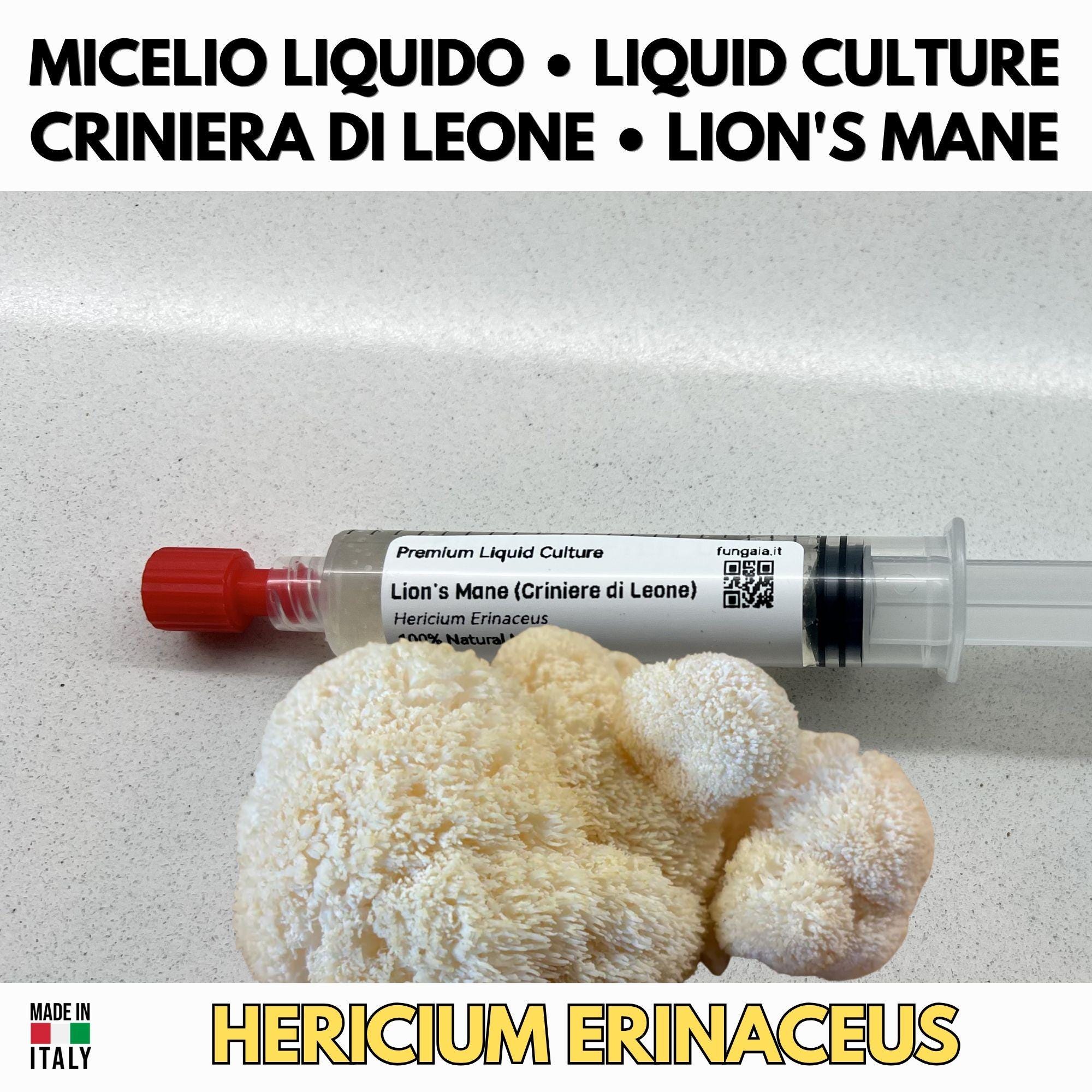 Hericium Collection – 3 Colture Liquide | Lion's Mane Ericio Corallino Bear's Head | Bundle Completo Famiglia Hericium