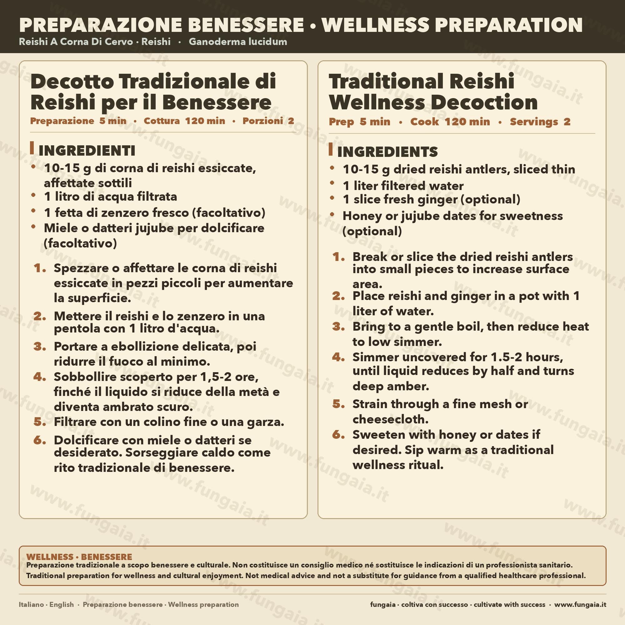 Coltura Liquida Reishi Lucido | Ganoderma resinaceum | Micelio