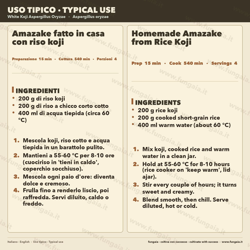 Koji Bianco Aspergillus oryzae Slant Agar | Coltura Premium