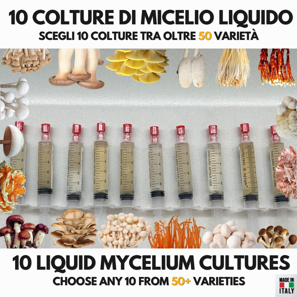 Bundle 10 Colture Liquide | Oltre 50 Varietà Funghi Gourmet