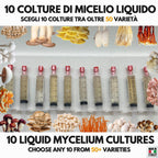 Bundle 10 Colture Liquide | Oltre 50 Varietà Funghi Gourmet
