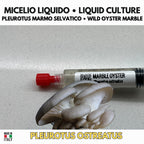 Coltura Liquida Marble Oyster 10ml • Pleurotus Gourmet Sterile