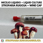 Coltura Liquida Stropharia Rugosoannulata 10ml | Wine Cap Fungo