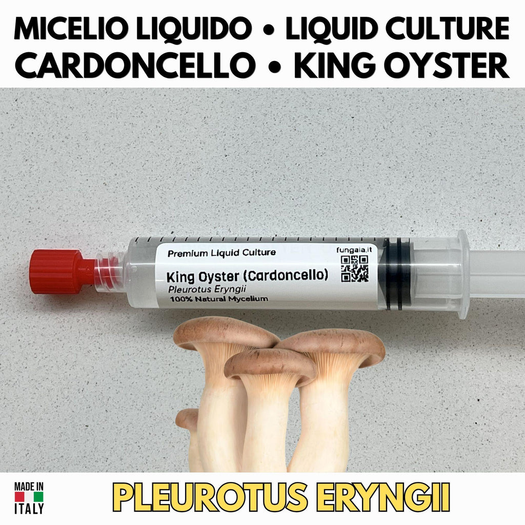 Cardoncello Liquid Culture (10ml) - Gourmet Mushroom Mycelium
