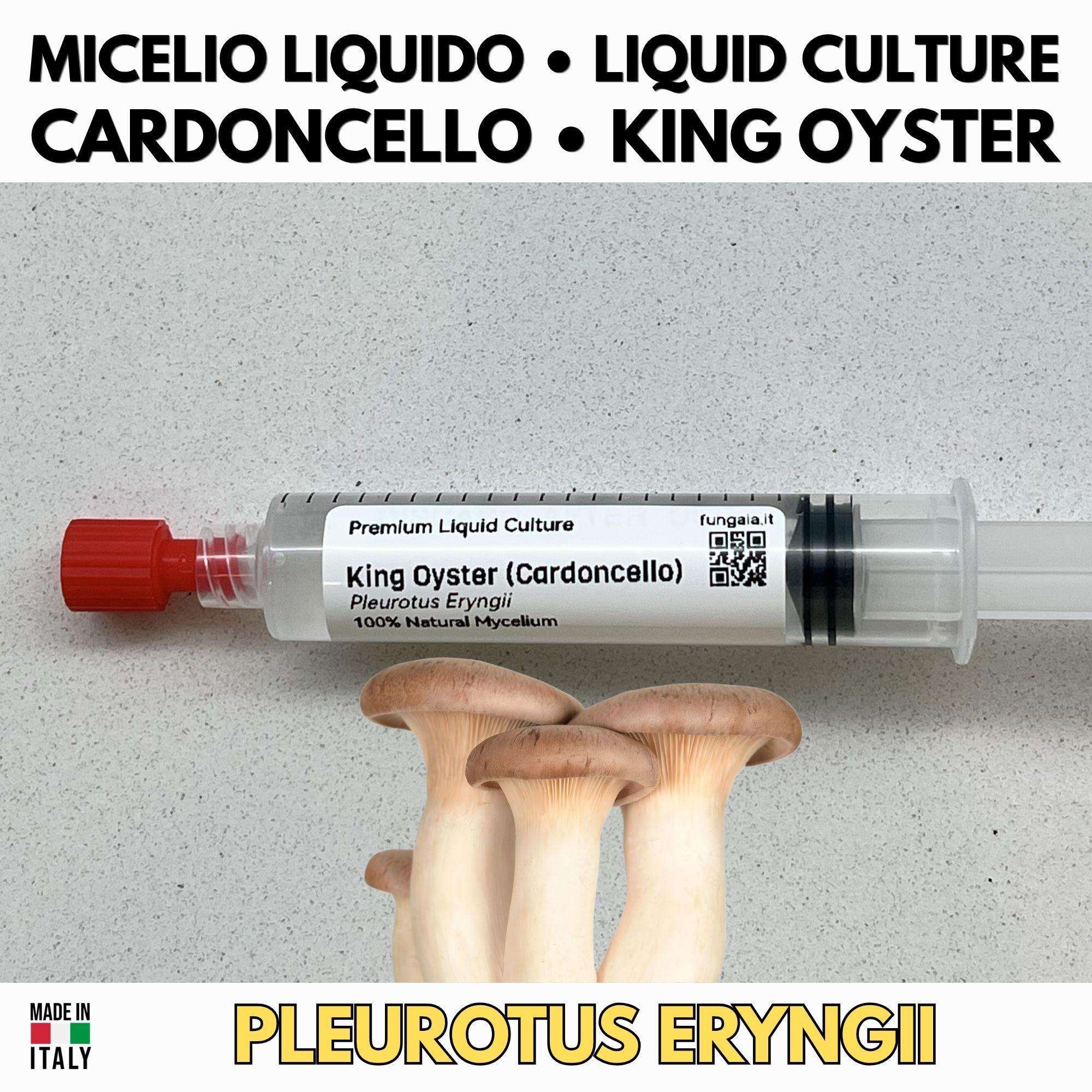 Coltura Liquida Cardoncello King Trumpet 10ml - Micelio Funghi