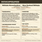 Shiitake Nuova Zelanda Coltura Liquida Micelio Vivo 10ml