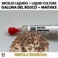 Maitake Micelio Vivo 10ml Coltura Liquida Grado Laboratorio Grifola Frondosa Inoculo Professionale Genetica Selezionata