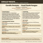 Coral Tooth Liquid Culture Hericium Coralloides Live Mycelium Syringe 10ml Comb Tooth Mushroom Culture Lab Grade Mycology Supplies