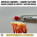 Cultura Liquida Antler Reishi 10ml - Ganoderma lucidum Made in Italy