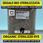 Segale Bio 1kg/2kg Sterilizzata Autoclave • Spawn Funghi Pleurotus Shiitake