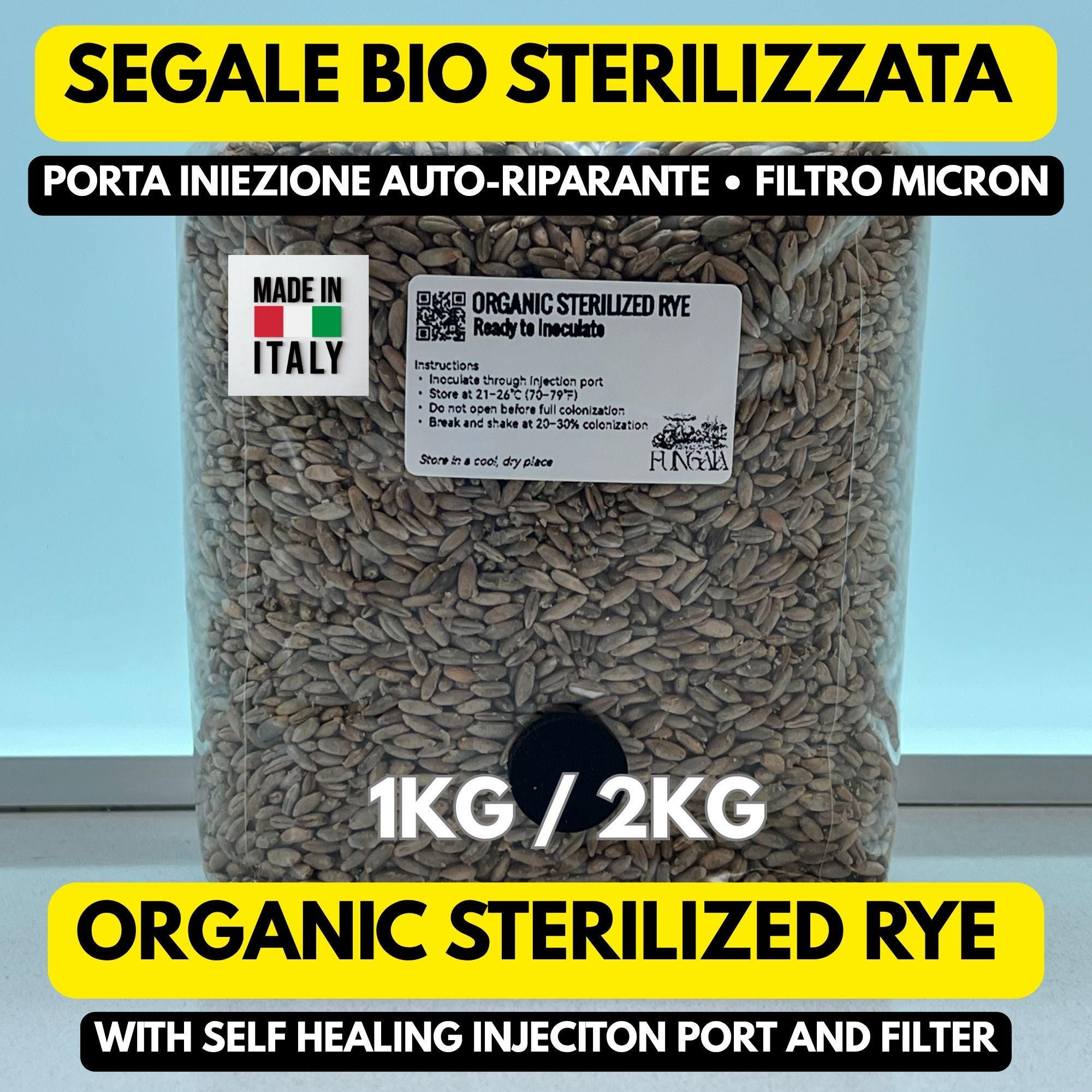 Segale Bio 1kg/2kg Sterilizzata Autoclave • Spawn Funghi Pleurotus Shiitake