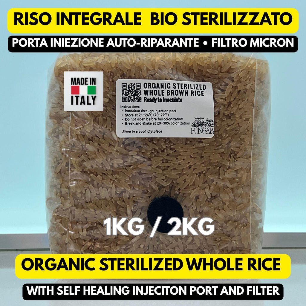 Riso Integrale Bio 1kg/2kg Spawn Autoclave • Porta SHIP • Substrato Funghi