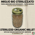 Spawn Enoki 1L Miglio Bio | Colonizzato | Qualità Laboratorio