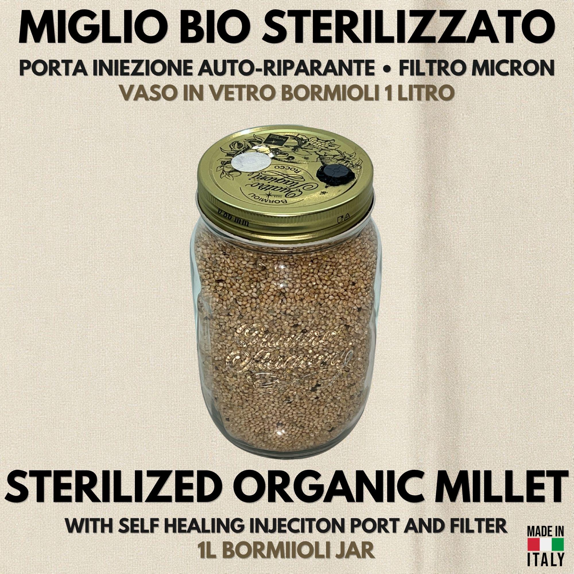Spawn Enoki 1L Miglio Bio | Colonizzato | Qualità Laboratorio
