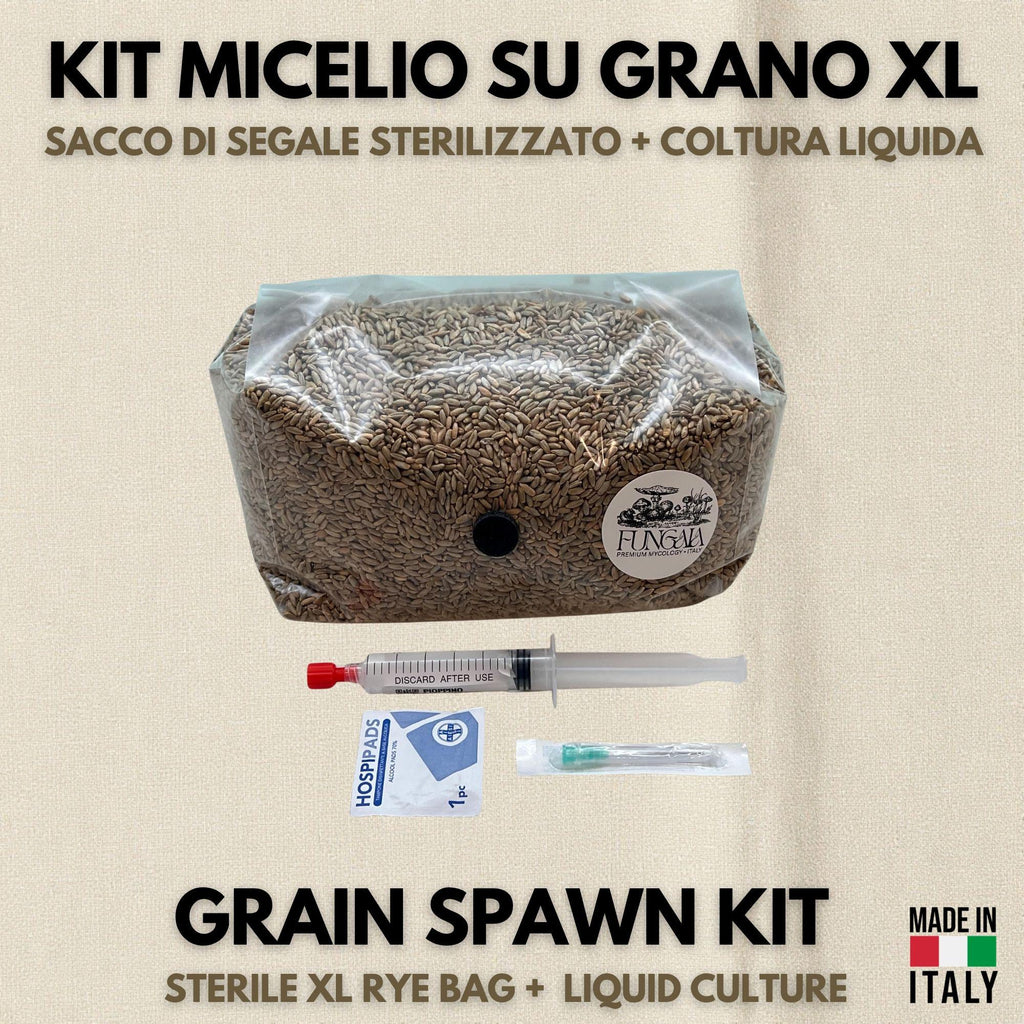 Kit Spawn Funghi Premium - Sacca XL Segale Bio con Coltura Liquida
