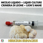 Kit Coltura Funghi Wellness Tradizionali. Wellness Pack 5 Colture Liquide. Lion's Mane | Reishi | Cordyceps | Turkey Tail