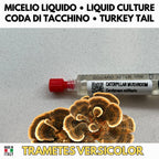 Kit Coltura Funghi Wellness Tradizionali. Wellness Pack 5 Colture Liquide. Lion's Mane | Reishi | Cordyceps | Turkey Tail