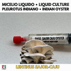 Coltura Liquida Funghi Estivi – Summer Pack 5 LC | Pink Oyster Golden Oyster Wine Cap Enoki | Kit Coltivazione Funghi Stagionali