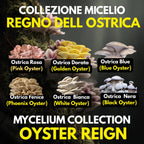 Regno Ostrica – 6 Colture Liquide | Blue Pink Golden Phoenix White Black Oyster | Bundle Pleurotus Coltivazione Funghi