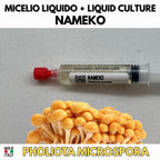 Asian Gourmet Collection – 4 Colture Liquide | Shiitake Donko Koushu Nameko Enoki | Bundle Funghi Giapponesi