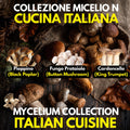 Italian Cuisine Collection – 3 Colture Liquide | Champignon Pioppino Cardoncello | Bundle Funghi Tradizione Italiana