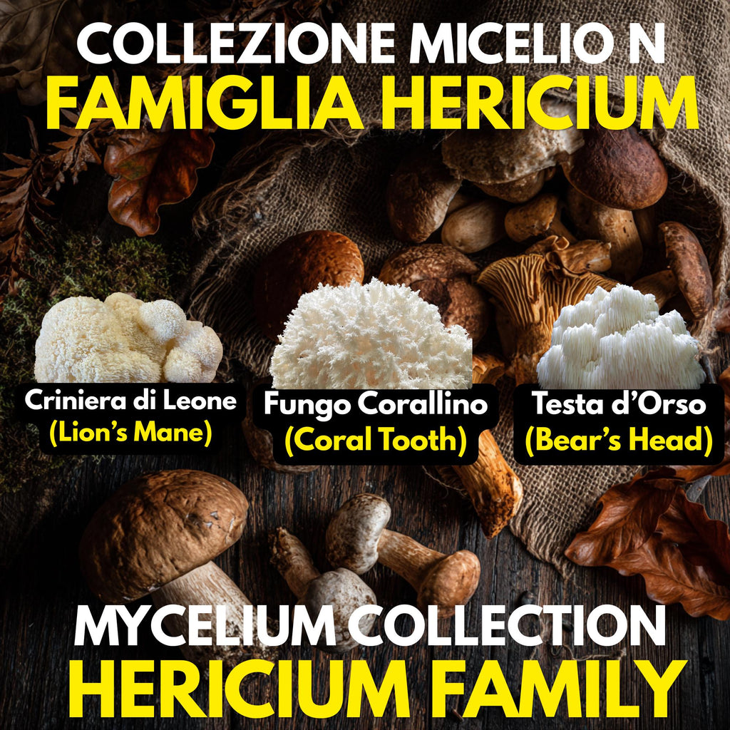Hericium Collection – 3 Colture Liquide | Lion's Mane Ericio Corallino Bear's Head | Bundle Completo Famiglia Hericium