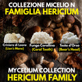 Hericium Collection – 3 Colture Liquide | Lion's Mane Ericio Corallino Bear's Head | Bundle Completo Famiglia Hericium