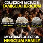 Hericium Collection – 3 Colture Liquide | Lion's Mane Ericio Corallino Bear's Head | Bundle Completo Famiglia Hericium