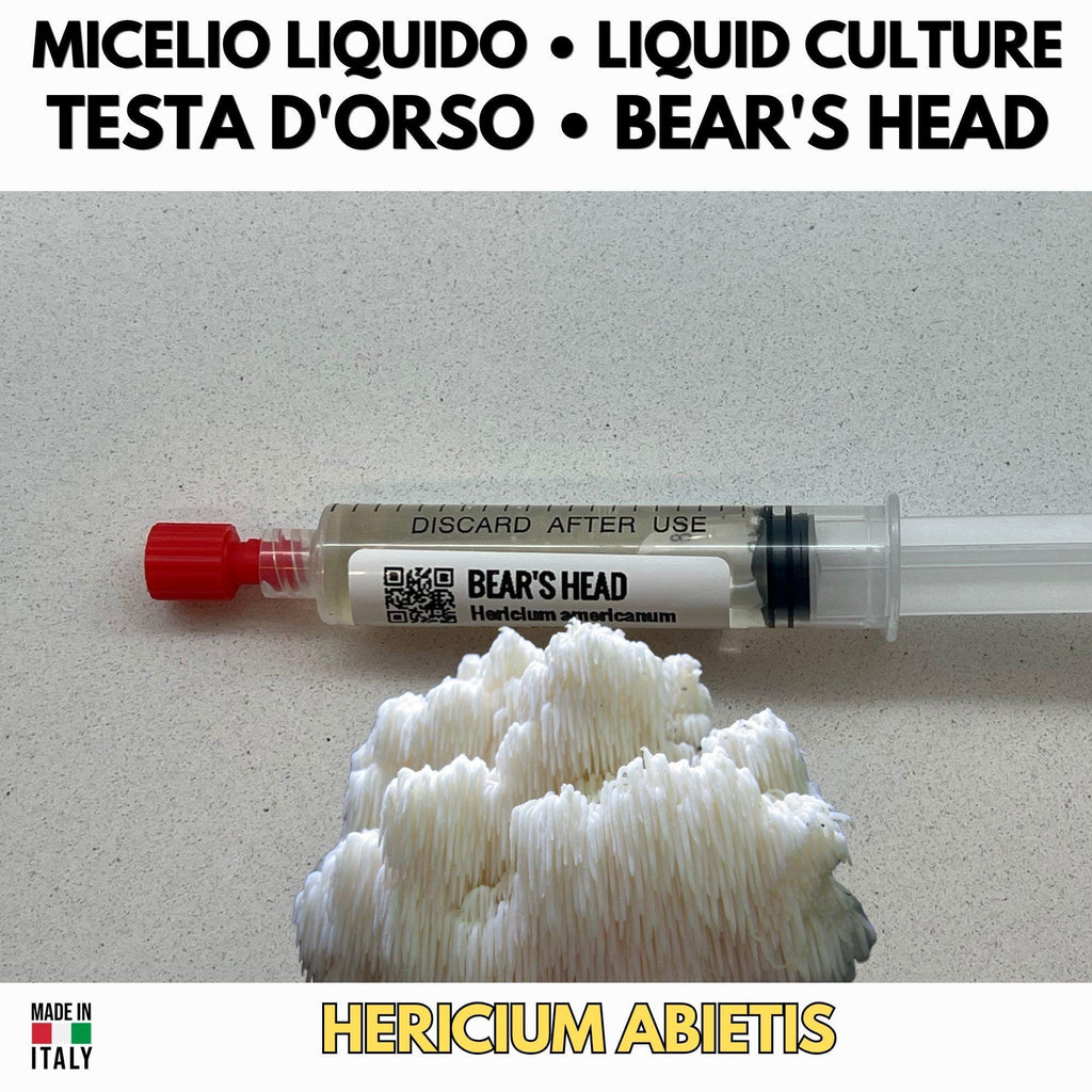 Hericium Collection – 3 Colture Liquide | Lion's Mane Ericio Corallino Bear's Head | Bundle Completo Famiglia Hericium
