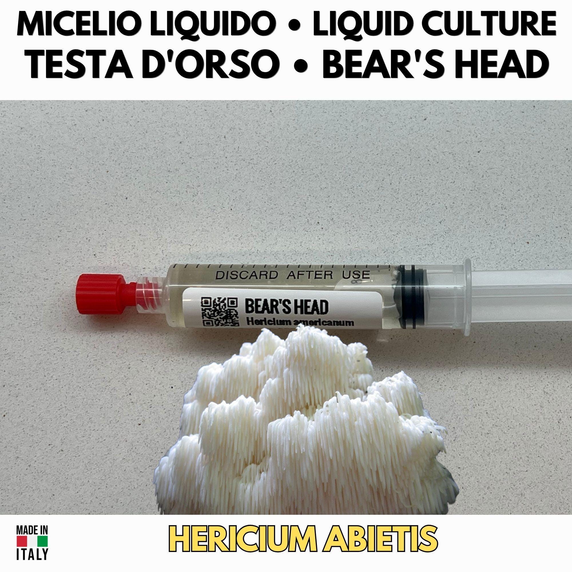Hericium Collection – 3 Colture Liquide | Lion's Mane Ericio Corallino Bear's Head | Bundle Completo Famiglia Hericium