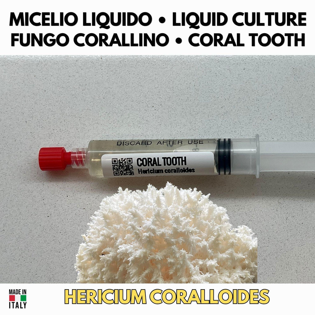 Hericium Collection – 3 Colture Liquide | Lion's Mane Ericio Corallino Bear's Head | Bundle Completo Famiglia Hericium