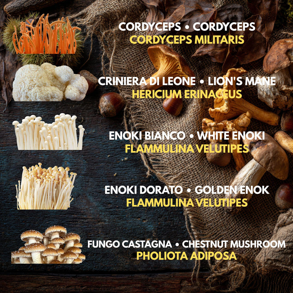 Bundle 10 Colture Liquide | Oltre 50 Varietà Funghi Gourmet