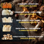 Bundle 10 Colture Liquide | Oltre 50 Varietà Funghi Gourmet
