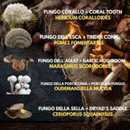 Bundle 10 Colture Liquide | Oltre 50 Varietà Funghi Gourmet