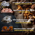 Bundle 10 Colture Liquide | Oltre 50 Varietà Funghi Gourmet