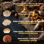 Bundle 5 Colture Liquide | 50+ Varietà Funghi Gourmet | Micelio Premium