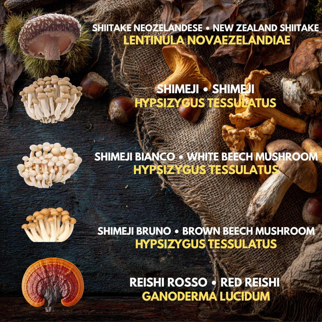 Bundle 10 Colture Liquide | Oltre 50 Varietà Funghi Gourmet