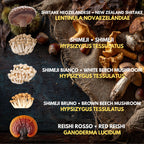 Bundle 10 Colture Liquide | Oltre 50 Varietà Funghi Gourmet