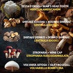 Bundle 5 Colture Liquide | 50+ Varietà Funghi Gourmet | Micelio Premium