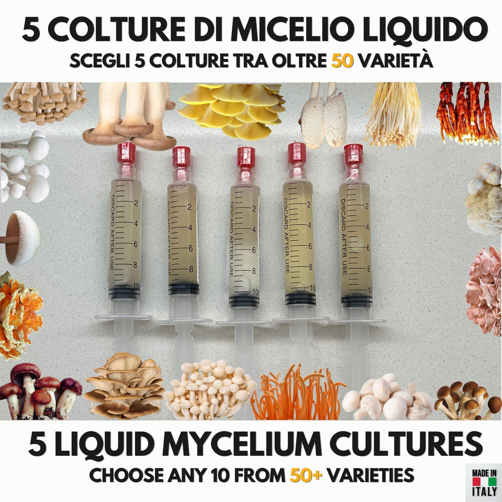 Bundle 5 Colture Liquide | 50+ Varietà Funghi Gourmet | Micelio Premium